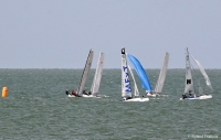 Defender Cup (Ostend Cup) - LONG DISTANCE